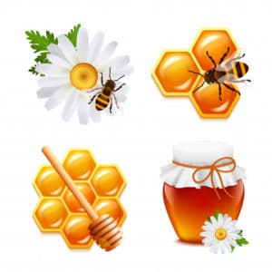 Produzione del miele